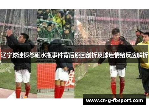 辽宁球迷愤怒砸水瓶事件背后原因剖析及球迷情绪反应解析