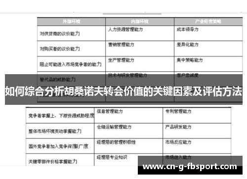 如何综合分析胡桑诺夫转会价值的关键因素及评估方法 如何综合分析胡桑诺夫转会价值的关键因素及评估方法